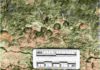 Large Mesozoic Marine Reptile Described Vertebrate bones exposed during fieldwork in the Zhebao region of Guangxi ProvinceThe arrows indicate ribs, exposed in cross-section