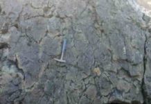 Ancient ocean floors could help in the search for critical minerals Examining ocean floors key to minerals needed for renewable energy. Image: Supplied
