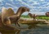 Bizarre meat-eating dinosaur joins ‘Rogues’ Gallery’ of giant predators from classic fossil site in Egypt’s Sahara Desert Andrew McAfee, Carnegie Museum of Natural History