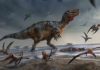 Europe’s largest land predator unearthed on the Isle of Wight Illustration of White Rock spinosaurid by Anthony Hutchings. Credit: UoS/A Hutchings