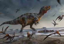 Europe’s largest land predator unearthed on the Isle of Wight Illustration of White Rock spinosaurid by Anthony Hutchings. Credit: UoS/A Hutchings