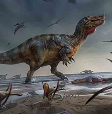 Illustration of White Rock spinosaurid by Anthony Hutchings. Credit: UoS/A Hutchings