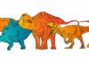Hot-blooded T. rex and cold-blooded Stegosaurus: Chemical clues reveal dinosaur metabolisms Hot-blooded T. rex and cold-blooded Stegosaurus
