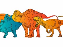 Hot-blooded T. rex and cold-blooded Stegosaurus