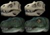 Dinosaurs evolved different eye socket shapes to allow stronger bites Skull and life reconstruction of Tyrannosaurus rex with original eye socket and eye (left) and hypothetical reconstruction with circular eye socket and enlarged eye (right). (Image credit: Dr Stephan Lautenschlager, University of Birmingham).
