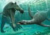 Plesiosaur fossils found in the Sahara suggest they weren’t just marine animals Plesiosaurus and spinosaurus may have both inhabited freshwater rivers