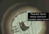 Diamonds and rust at Earth’s core-mantle boundary The iron-carbon alloy reacted with water at high pressure and high temperature conditions related to the Earth’s deep mantle in a diamond-anvil cell.