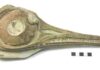 Jurassic ichthyosaurs divided food resources to co-exist, researchers find The skull of Ichthyosaurs Hauffiopteryx typicus from the Strawberry Bank Lagerstätt, one of the specimens that were the subject of this study Credit: Bath Royal Literary and Scientific Institution Collections