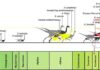 Ostrich-like dinosaurs from Mississippi are among the world’s largest at over 800 kilograms Paleohistological transverse sections of select elements of (A) large- and (B) medium-bodied individuals of the Eutaw ornithomimosaurs, and (C) relative body-size of the Eutaw ornithomimosaurs within known ornithomimosaur taxa through a geological time. Credit: Tsogtbaatar et al., CC-BY 4.0 (https://creativecommons.org/licenses/by/4.0/)