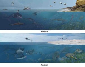 SMU paleontologists helped find a new species of pterosaurs in Angola, where fossils of other large marine animals have been found. E. otyikokolo can be seen flying above the ocean in the ancient picture. Artwork by Karen Carr Studio.