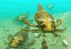 Tiniest ever ancient seawater pockets revealed Giant sea scorpions once roamed the ancient Devonian sea 400 million years ago. Now, researchers are learning more about that world. Credit: Aunt Spray | Shutterstock.com