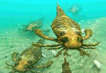 Tiniest ever ancient seawater pockets revealed Giant sea scorpions once roamed the ancient Devonian sea 400 million years ago. Now, researchers are learning more about that world. Credit: Aunt Spray | Shutterstock.com