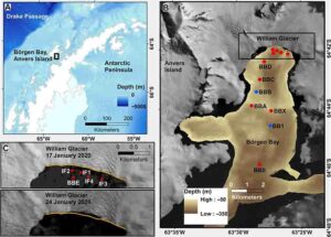 Field area and glacier retreat due to calving. (A) Location of Börgen Bay at the West Antarctic Peninsula. Bathymetry from ETOPO 1 global relief model (74). (B) Bathymetry of Börgen Bay from multibeam echosounder data and coastline/topography from Landsat imagery (see Materials and Methods). Dots mark locations of conductivity-temperature-depth (CTD) profiles used here, with profiles taken before (red) and after (blue) the calving event. (C) Landsat images of the William Glacier front from (top) 17 January 2020 and (bottom) 24 January 2020. In both panels, the orange line marks the glacier front on 17 January 2020 to highlight the retreat of the glacier between those dates. Credit: Science Advances (2022). DOI: 10.1126/sciadv.add0720