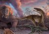 Climate change played key role in dinosaur success story Dinosaur ancestors are shown in this artist's conception of life in the Chañares formation approximately 235 million years. Credit: Victor O. Leshyk / www.paleovista.com