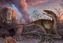Climate change played key role in dinosaur success story Dinosaur ancestors are shown in this artist's conception of life in the Chañares formation approximately 235 million years. Credit: Victor O. Leshyk / www.paleovista.com