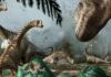 What the inner ear of Europasaurus reveals about its life Fig. 1: Some adult individuals watch over the newly-hatched Europasaurus chicks which are leaving the nest to join their herd. Commissioned artwork by Davide Bonadonna.