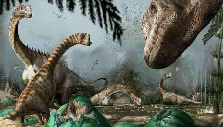 What the inner ear of Europasaurus reveals about its life | Geology Page