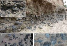 Obsidian handaxe-making workshop from 1.2 million years ago discovered in Ethiopia The extensive accumulations of obsidian artefacts in level C. a,b, General view of the level and detail of artefact density along the MS cliff (a) and inset (b). c,d, General view (c) and detail (d) of the artefact concentration (mainly handaxes) in the test pit of 2004. Credit: Nature Ecology & Evolution (2023). DOI: 10.1038/s41559-022-01970-1
