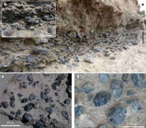 The extensive accumulations of obsidian artefacts in level C. a,b, General view of the level and detail of artefact density along the MS cliff (a) and inset (b). c,d, General view (c) and detail (d) of the artefact concentration (mainly handaxes) in the test pit of 2004. Credit: Nature Ecology & Evolution (2023). DOI: 10.1038/s41559-022-01970-1