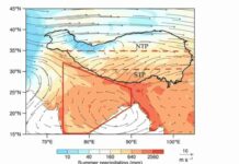 South Asian black carbon causes glacier loss on Tibetan Plateau Summer precipitation and black carbon emission characteristics. a The spatial pattern of summer precipitation using the Climatic Research Unit (CRU) dataset overlain with summer 500 hPa wind fields for the period 2001–2016, using the ERA-Interim dataset over the Tibetan plateau (TP) and South Asia (denoted by red polygon). NTP and STP delineate the northern and southern Tibetan plateau boundaries.