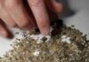‘Superdeep’ diamond deepens our understanding of plate tectonics Superdeep diamonds that originate hundreds of kilometers beneath Earth’s surface are like time capsules revealing how they were formed, thanks to unique combinations of minerals trapped inside the diamonds. Credit: University of Alberta