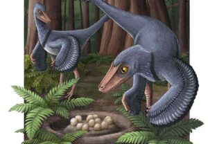 Artist’s impression of two Troodons with a common nest. Illustration: Alex Boersma/PNAS