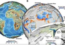 Most detailed geological model reveals Earth’s past 100 million years Model by Dr Tristan Salles, School of Geosciences.