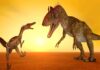 Dinosaurs were the first to take the perspectives of others Dinosaur Photo: MICHAEL ROSSKOTHEN/MostPhotos