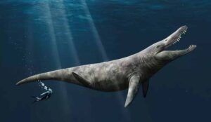 An artist’s impression of the pliosaur by Megan Jacobs, University of Portsmouth
