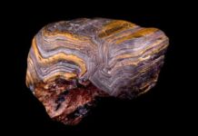 Iron-rich rocks unlock new insights into Earth’s planetary history Metamorphosed banded iron formation from southern Wyoming showing deformation and folding. The rock is approximately 2.7 billion years old. Dark bands are iron oxides (magnetite, hematite) and yellow-orange bands are chert with iron oxide inclusions (jasper). (Photo by Linda Welzenbach-Fries/Rice University)