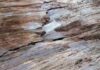 Rougher faults may generate more earthquake aftershocks New lab work suggests that rock roughness affects earthquake aftershock dynamics along faults. Credit: Dextersinister/Wikimedia Commons, CC BY-SA 4.0