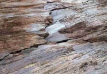 Rougher faults may generate more earthquake aftershocks New lab work suggests that rock roughness affects earthquake aftershock dynamics along faults. Credit: Dextersinister/Wikimedia Commons, CC BY-SA 4.0