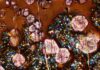 Study presents new clues about the rise of Earth’s continents A microscope image from an experiment conducted for this study. The image contains glass (brown), large garnets (pink) and other small mineral crystals. The field of view is 410 microns wide, about size of a sugar crystal. Credit: Science (2023). DOI: 10.1126/science.ade3418