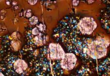 Study presents new clues about the rise of Earth’s continents A microscope image from an experiment conducted for this study. The image contains glass (brown), large garnets (pink) and other small mineral crystals. The field of view is 410 microns wide, about size of a sugar crystal. Credit: Science (2023). DOI: 10.1126/science.ade3418