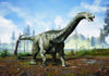 What was the largest dinosaurs? Argentinosaurus is still widely considered the heaviest dinosaur. Based on its mid-range estimate, it weighed the same as about nine T. rexes or 13 African elephants!