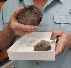 Steve May, a research associate at the Jackson School of Geosciences, holds a fossil from a plesiosaur, an extinct marine reptile. Credit: Jackson School of Geosciences/ The University of Texas at Austin.