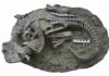 Unusual fossil shows rare evidence of a mammal attacking a dinosaur The fossil showing the entangled skeletons of the dinosaur (Psittacosaurus) and the mammal (Repenomamus). Scale bar equals 10 cm.