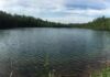 Crawford Lake, Canada, chosen as the primary marker to identify the start of the Anthropocene epoch Crawford Lake Credit: Sarah Roberts