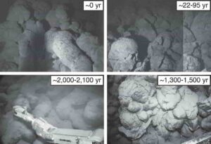 Undersea images of lava from Kama'ehu volcano, contrasting fresh-looking young lavas (top) versus older sediment-covered lavas (bottom). The two images on the bottom are courtesy of JAMSTEC.