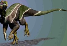New dino, ‘Iani smithi,’ was face of a changing planet Image: Jorge Gonzalez This work is licensed under a Creative Commons Attribution-NonCommercial 4.0 International License.