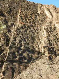 Close up image on one wall showing numerous depressions of hadrosaur footprints. The ice ax in the lower left of the frame is approximately 3 feet long, for scale.Photo by Patrick Druckenmiller