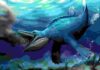 Whale-like filter-feeding discovered in prehistoric marine reptile Reconstruction of Hupehsuchus about to engulf a shoal of shrimps. Artwork by Shunyi Shu, Photo Copyright © Long Cheng, Wuhan Center of China Geological Survey.