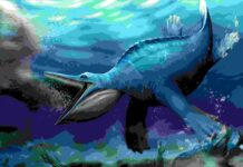 Whale-like filter-feeding discovered in prehistoric marine reptile Reconstruction of Hupehsuchus about to engulf a shoal of shrimps. Artwork by Shunyi Shu, Photo Copyright © Long Cheng, Wuhan Center of China Geological Survey.