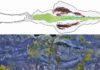 ‘Giant’ predator worms more than half a billion years old discovered in North Greenland Fossil of Timorebestia koprii—the largest known specimen, almost 30 cm or 12 inches long. Image Credit: Dr Jakob Vinther