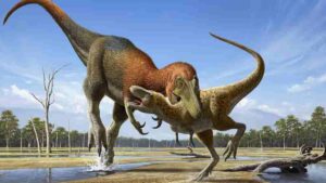 For decades, paleontologists have debated whether Nanotyrannus is a separate species or simply a juvenile T. rex. (Credit Raul Martin)