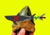 The megalodon was less mega than previously believed Study sheds new light on the body form of the Megalodon, and its role in shaping ancient marine life. (DePaul University/Kenshu Shimada)