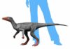 Dinosaurs’ success helped by specialized stance and gait, study finds A typical early dinosaur, Eoraptor from the Late Triassic of Argentina. Photo Copyright: Nobu Tamura, Wikimedia