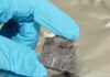 High resolution techniques reveal clues in 3.5 billion-year-old biomass Rocks made of barium sulphate (known as barite rocks) from the from the Pilbara Craton in Western Australia. Credit: Gerhard Hundertmark