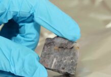 High resolution techniques reveal clues in 3.5 billion-year-old biomass Rocks made of barium sulphate (known as barite rocks) from the from the Pilbara Craton in Western Australia. Credit: Gerhard Hundertmark