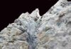 Rare 3D fossils show that some early trees had forms unlike any you’ve ever seen Sanfordiacaulis densifolia fossil (Scale is 1 m). Credit: Matthew Stimson
